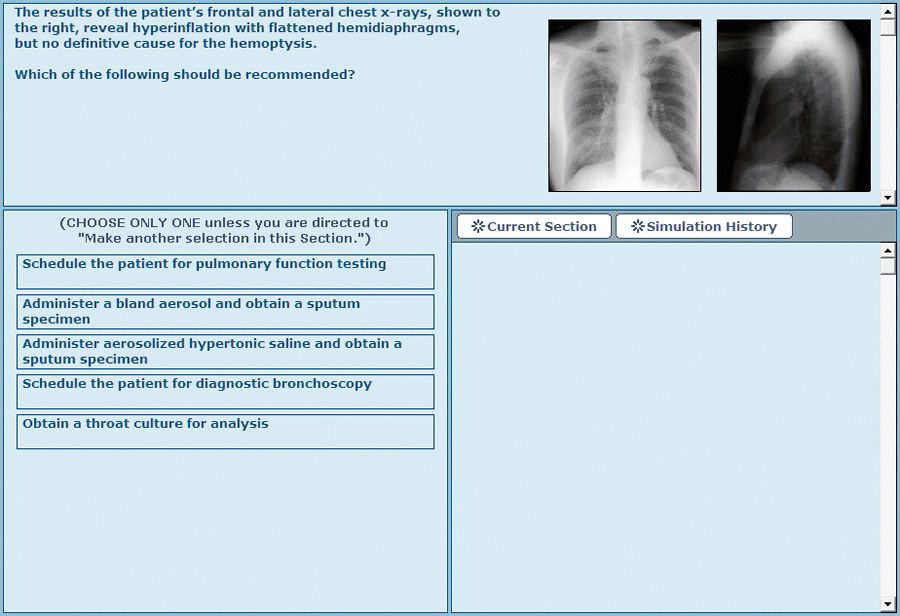 Adult Self-Evaluation Clinical Simulations