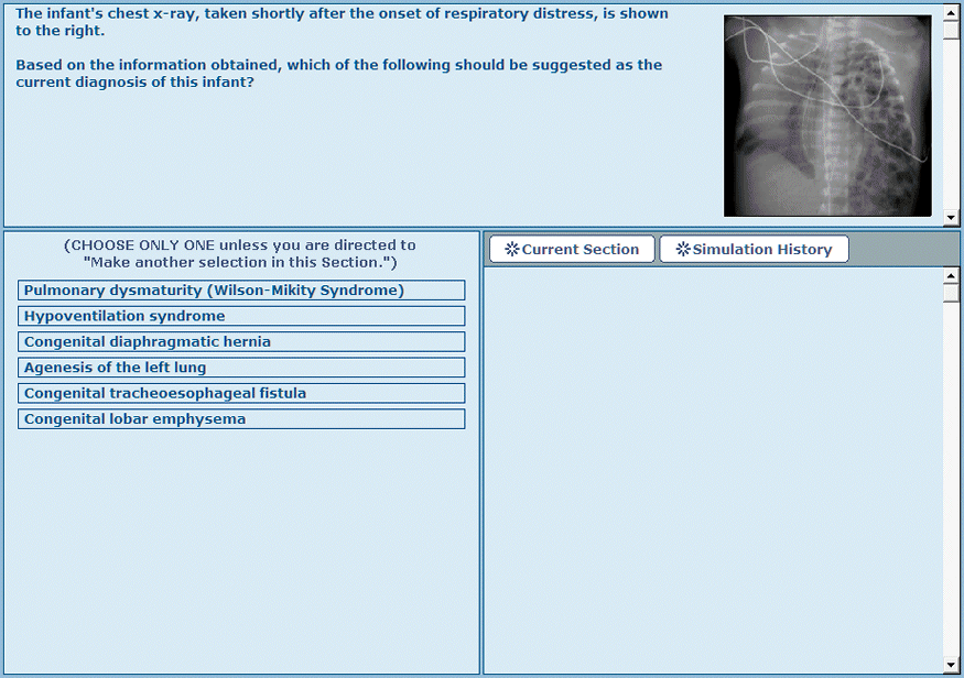 Neonatal Self-Evaluation Clinical Simulations